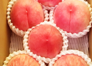 やまがた匠の味【桃】