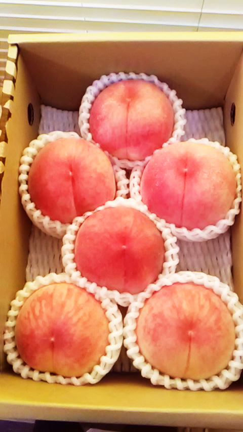 2㎏ 白桃