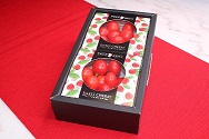 100g ダイヤ×2PK