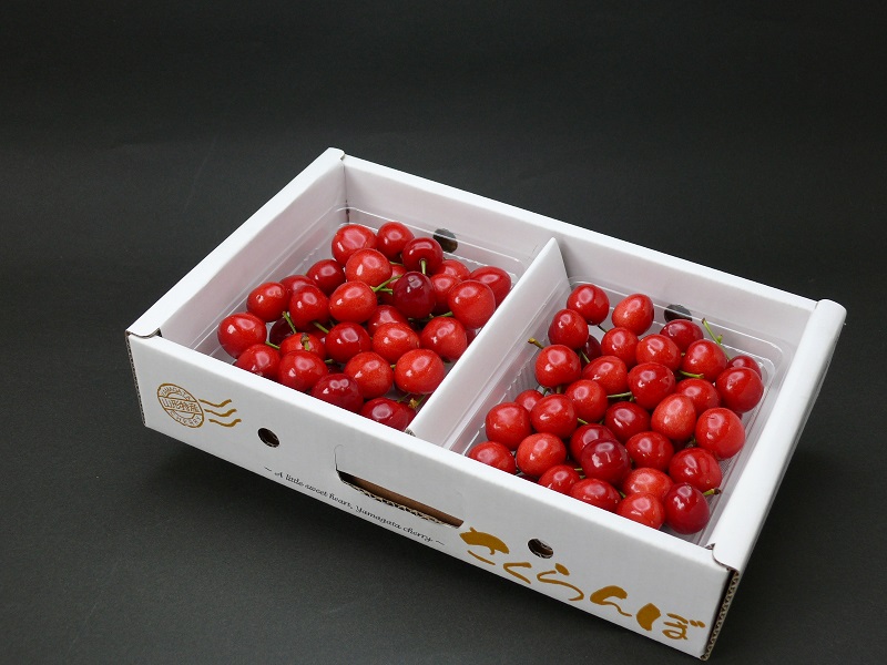 1kg（500g×2PK）化粧